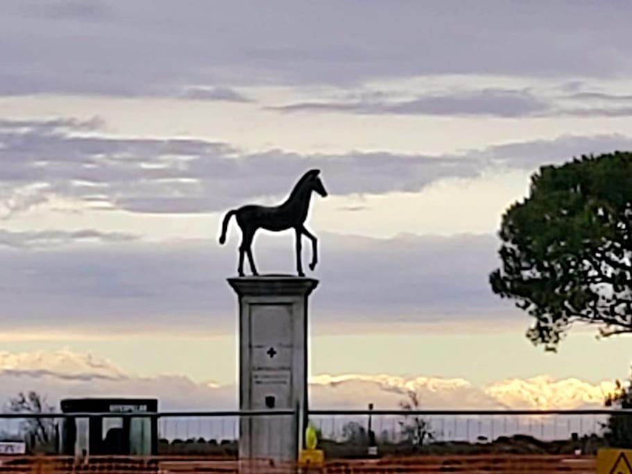 Appartamento Con Vista A Cavallino Venezia Exterior photo