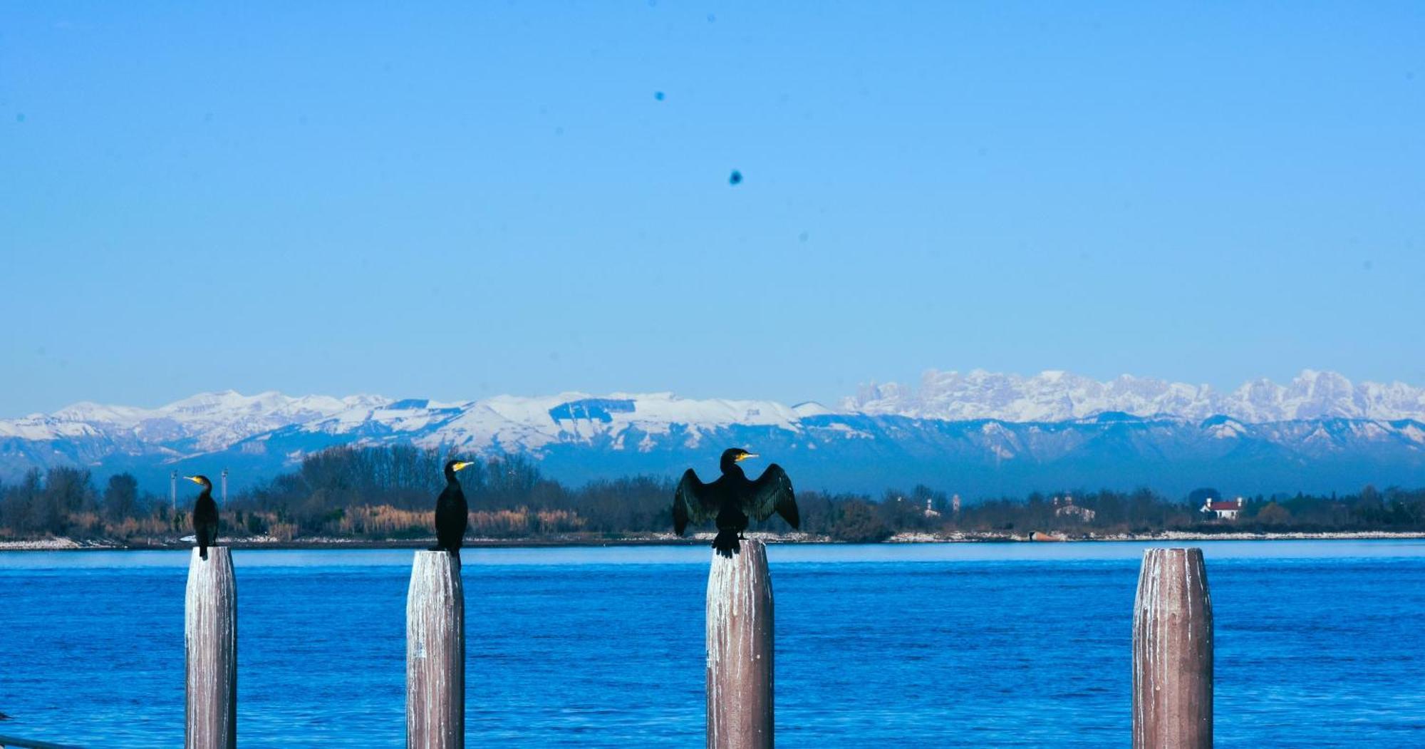 Appartamento Con Vista A Cavallino Venezia Exterior photo